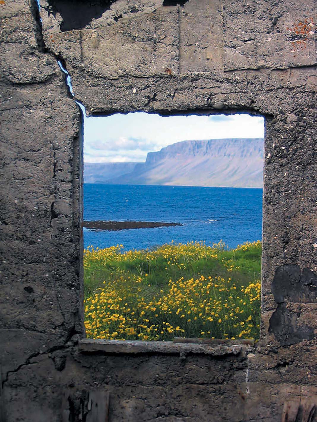 View out the window of stone ruins to the ocean, a fjord in background, and yellow field of flowers in foreground.