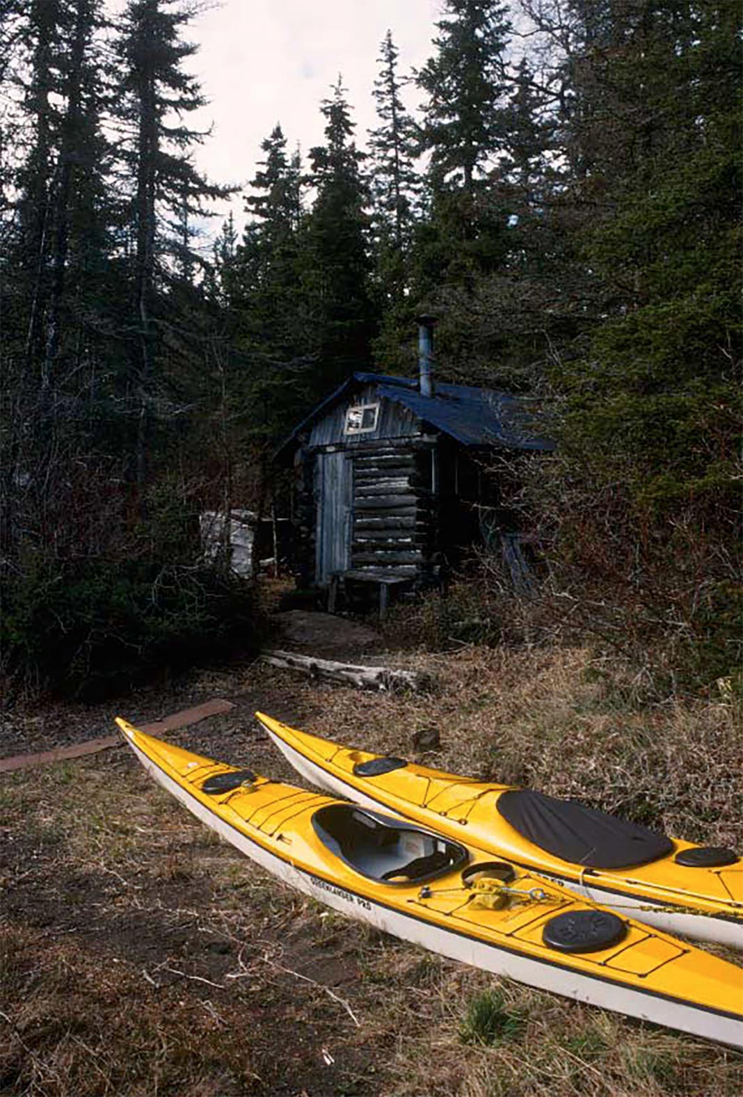 Two yellow sea kayaks lie outside small cabin in the woods