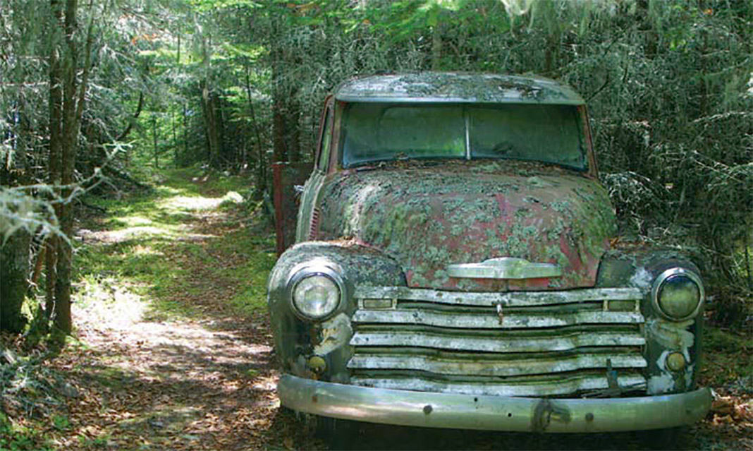 Old car rusting in the woods.