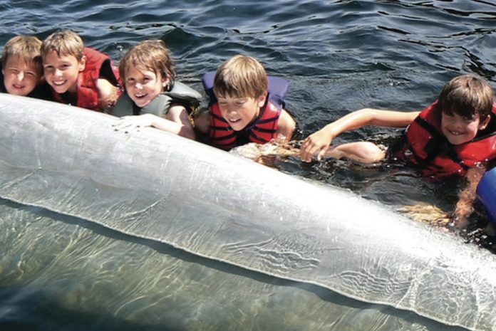 Kids wearing lifejackets, floating in water beside overturned canoe