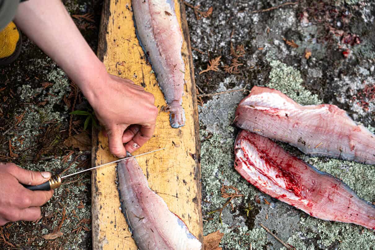 person fillets fish on a wooden board at a camp site