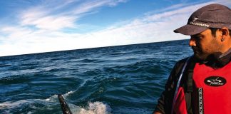 Man has close encounter with whale while kayak whale watching