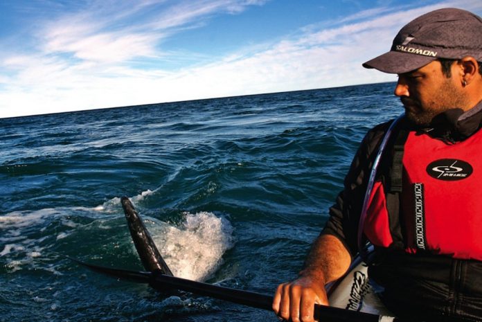 Man has close encounter with whale while kayak whale watching