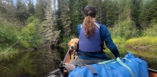 View from back of canoe of woman and dog in stern and blue dry bag behind.