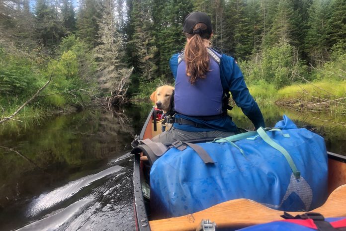 View from back of canoe of woman and dog in stern and blue dry bag behind.