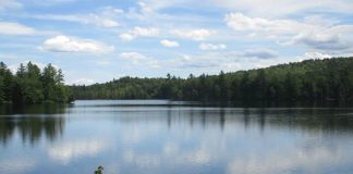 Floodwood Pond Loop, a great example of Adirondack canoe trips