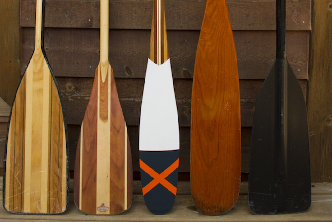 Canoe paddles lined up