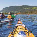 Skeg Or Rudder For Your Sea Kayak? A group of sea kayakers paddle on a large body of water