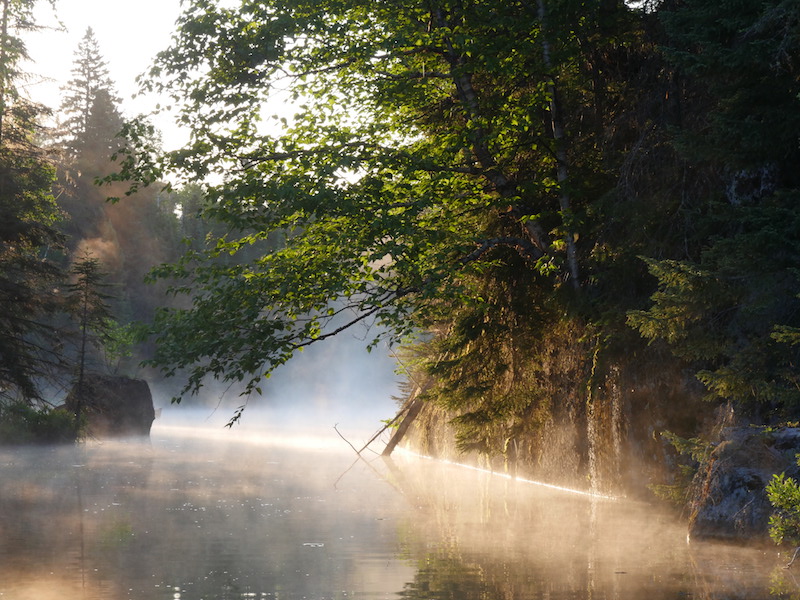 A misty morning in the BWCA