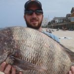 Matt Anderson’s Big Sheep