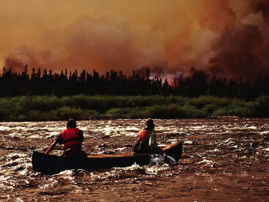 Surviving a forest fire | Photo: Hap Wilson