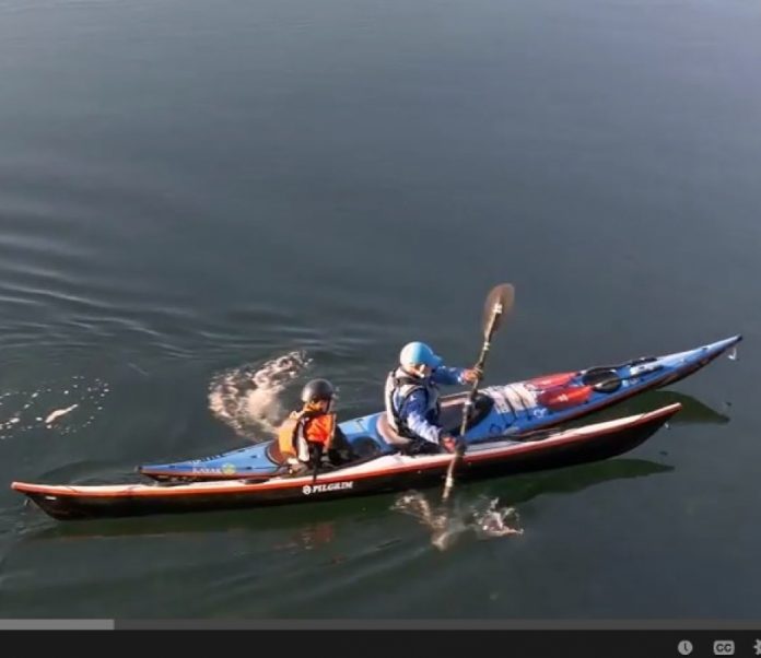 Photo: Screen Capture