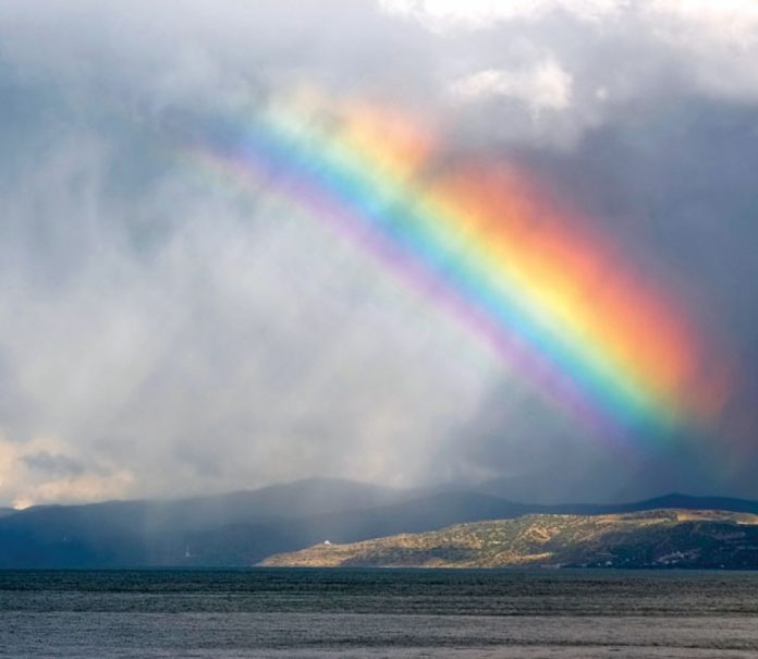 Photo: Vasiliy Yakobchuk/istock.com