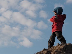 A little boy in a red jacket stands on a hill and looks out at the sky.