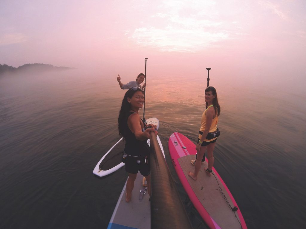 Paddleboarders