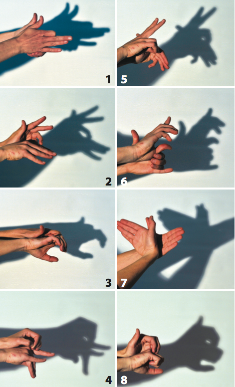 Shadow_Puppets_Animals.png