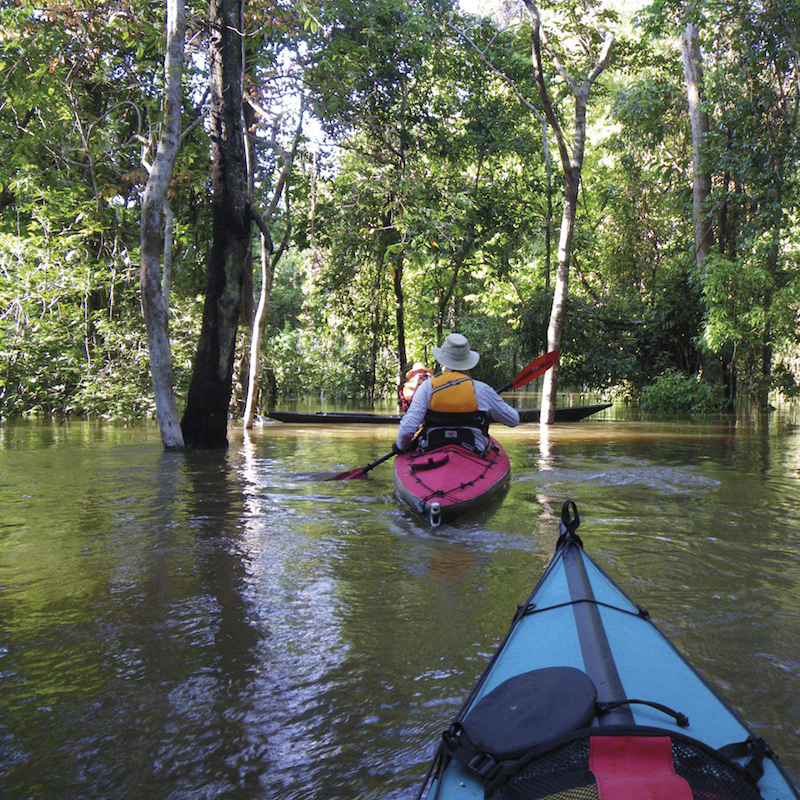 Kayakers pass through a flooded forest on the Amazon River. 