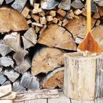 How Your Paddle Shapes You broken canoe paddle standing on log