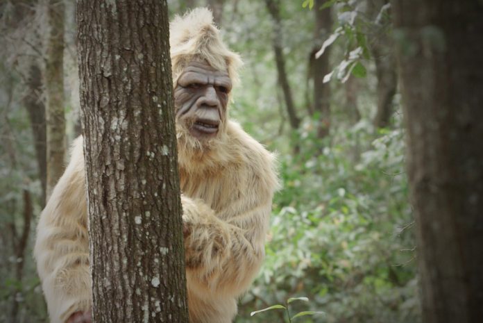 bigfoot hiding behind a tree
