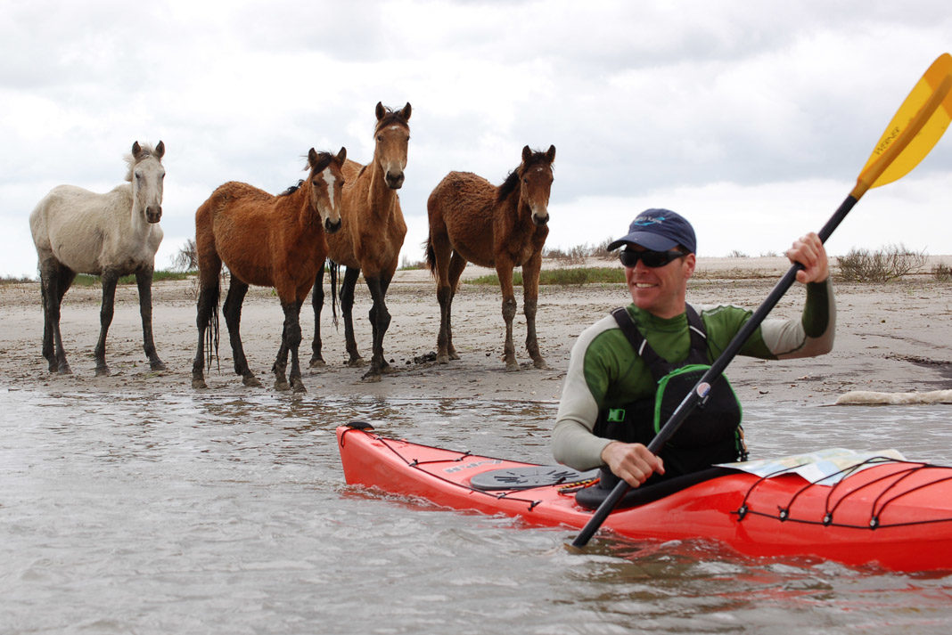 man paddling red kayak with three ferrel horses behind him