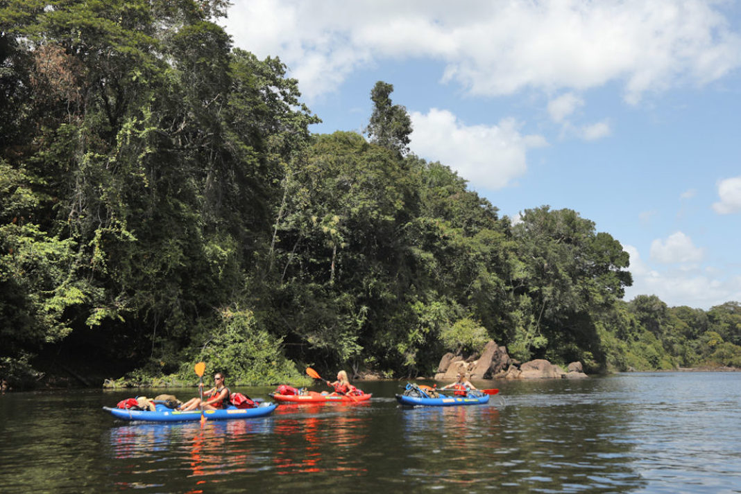 Three women paddling kayaks on the Essequibo River