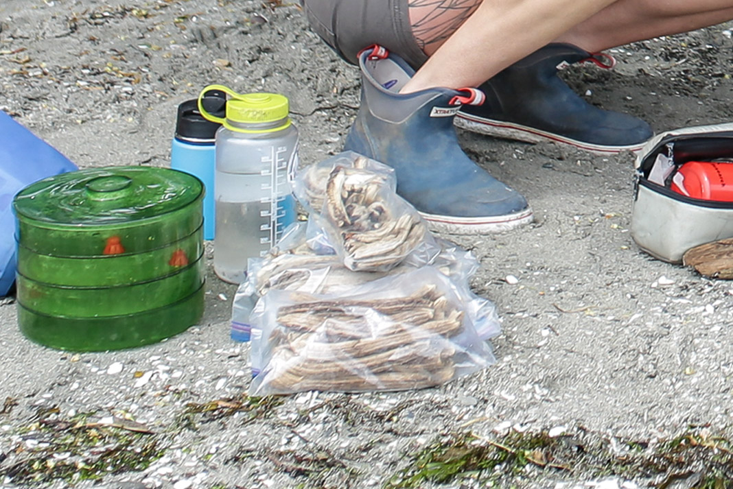 Dehydrated banana's.