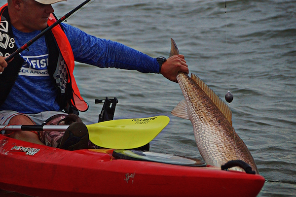 Over 130 bull reds were caught and released during RTB 7, a new tournament record. 