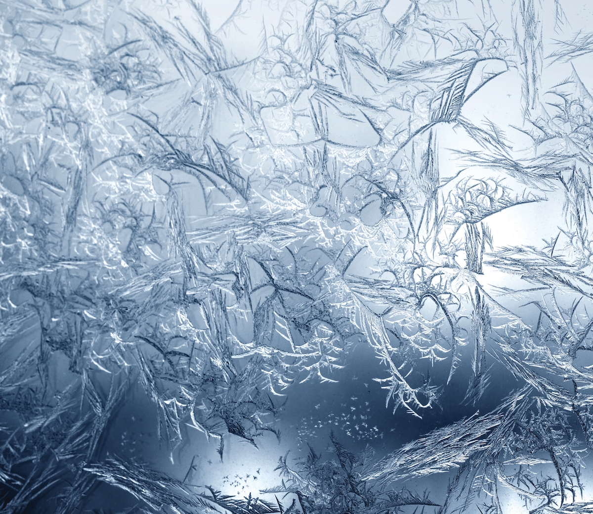 A closeup of frozen water. Photos by: Juan Veruete