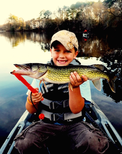 10 Tips For Catching Chain Pickerel