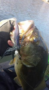 Knowing the right lures for grinding it out can help you convert casts to catches.