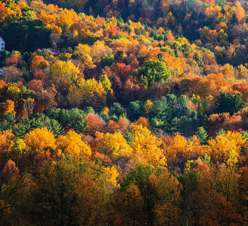 Fall in Upstate New York is a colorful affair. 