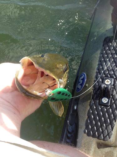 Pike Fishing with Len Thompson Spoons