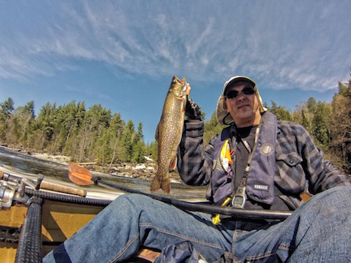Roman Sydor caught a trout and a pike in Algonquin Park, but the trout was a better surprise. 
