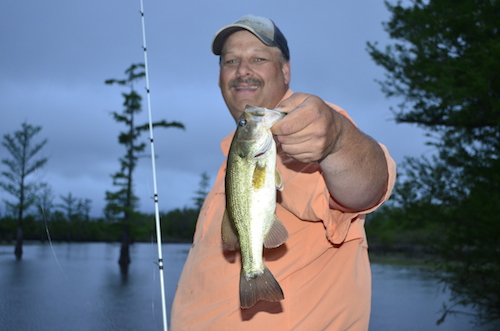 Muskie Fishing At Nestor Falls