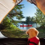 6 Expert Tips On Tent Repair And Maintenance a puppy looking through a tent at two people paddling a canoe on a lake.