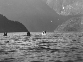 3 canoes paddle the inside passage