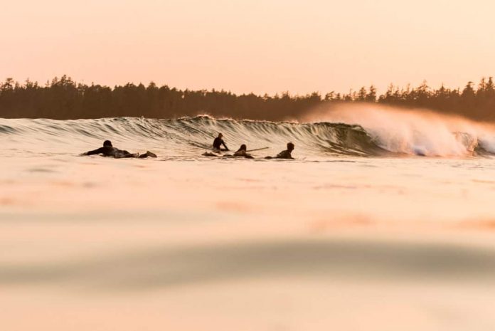several paddleboarders catching waves to surf on a breaking wave