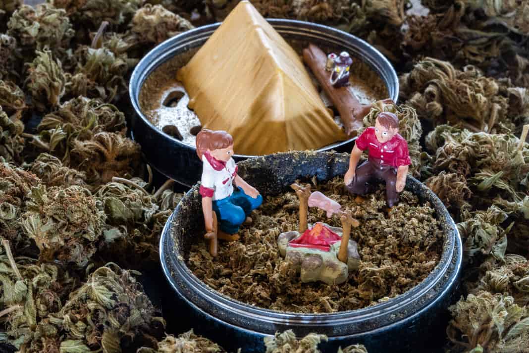 a grinder filled with cannabis and small characters camping