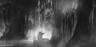a man on his kayak photographing a swamp in Louisiana's Atchafalaya Basin