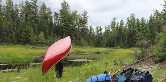 Canoeist carries canoe on a portage in Temagami