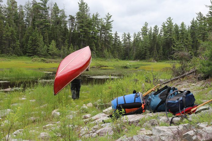 Canoeist carries canoe on a portage in Temagami