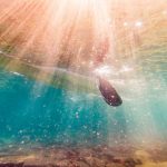 The Key To A Perfect Paddling Stroke Is All In Your Head technique behind good strokes