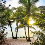Kayaking Key West: Tours, Rentals, Fishing, Mangroves & Snorkeling Beach scene in Key West, Florida