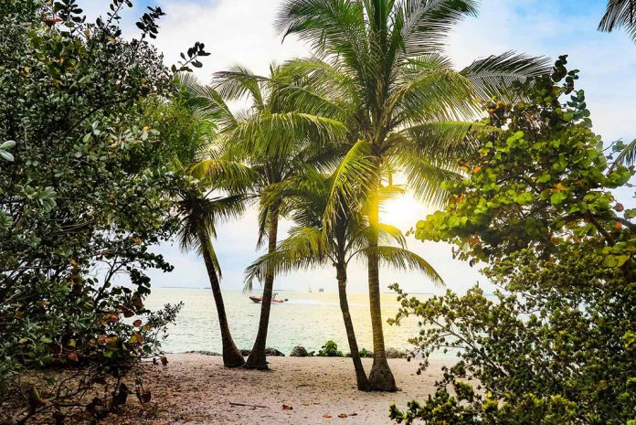 Beach scene in Key West, Florida
