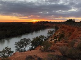 Passing through three states—New South Wales, Victoria, and South Australia—the Murray boasts a wealth of historical towns, first-rate wine regions and wilderness areas. | Photo: Jessica Wynne Lockhart