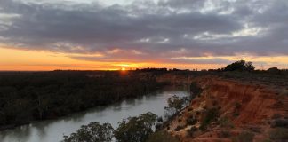 Passing through three states—New South Wales, Victoria, and South Australia—the Murray boasts a wealth of historical towns, first-rate wine regions and wilderness areas. | Photo: Jessica Wynne Lockhart