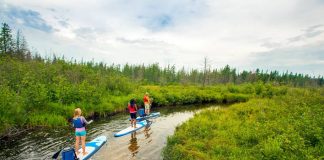 “ THE BIGGEST FACTOR AFFECTING THE PADDLESPORTS BUSINESS TODAY IS INNOVATION.” —SEAN CREARY, RIVER AND TRAIL OUTDOOR COMPANY. | PHOTO: ONTARIO TOURISM