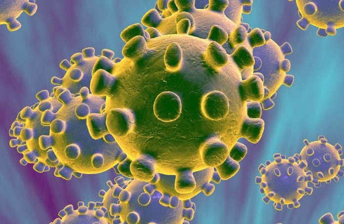 Rendering of virus