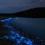 Glowing blue waters