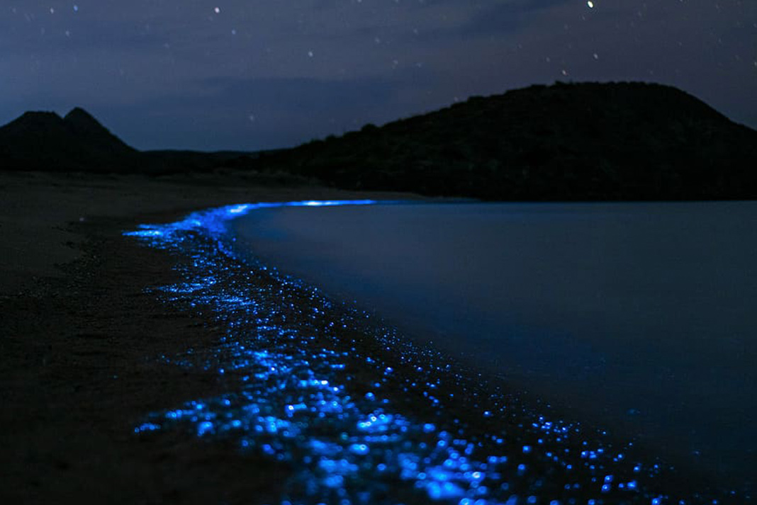 Glowing blue waters